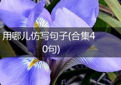 用哪儿仿写句子(合集40句)
