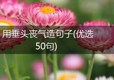 用垂头丧气造句子(优选50句)