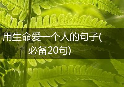 用生命爱一个人的句子(必备20句)