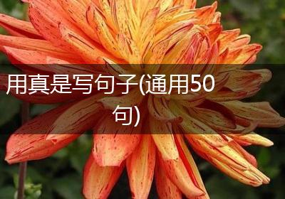 用真是写句子(通用50句)