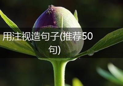 用注视造句子(推荐50句)