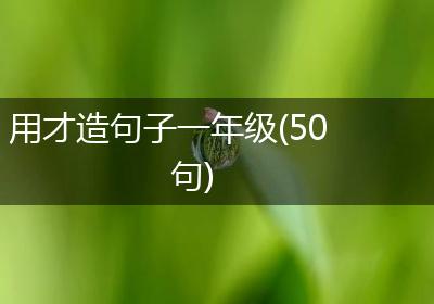 用才造句子一年级(50句)