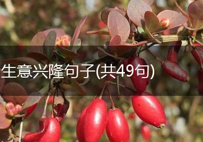 生意兴隆句子(共49句)
