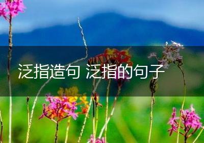 泛指造句 泛指的句子