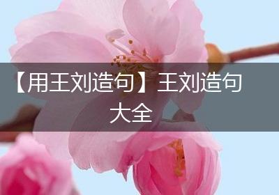 【用王刘造句】王刘造句大全