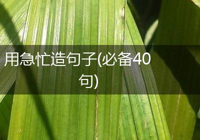 用急忙造句子(必备40句)