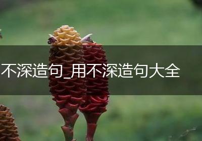 不深造句_用不深造句大全
