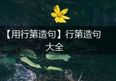 【用行第造句】行第造句大全