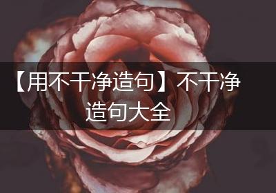 【用不干净造句】不干净造句大全
