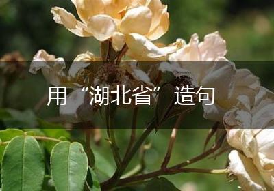 用“湖北省”造句