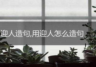 迎人造句,用迎人怎么造句