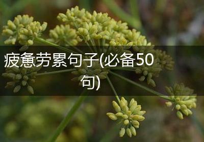 疲惫劳累句子(必备50句)