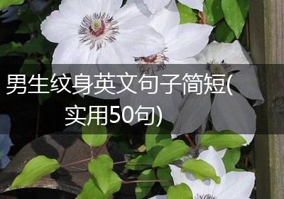 男生纹身英文句子简短(实用50句)