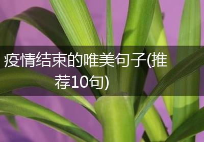 疫情结束的唯美句子(推荐10句)