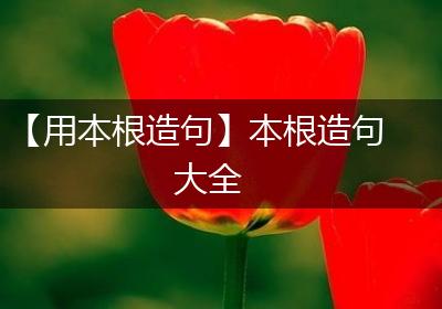 【用本根造句】本根造句大全