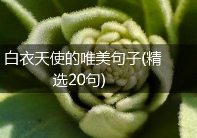 白衣天使的唯美句子(精选20句)