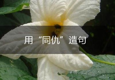 用“同仇”造句