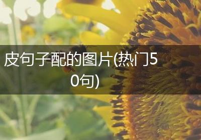 皮句子配的图片(热门50句)
