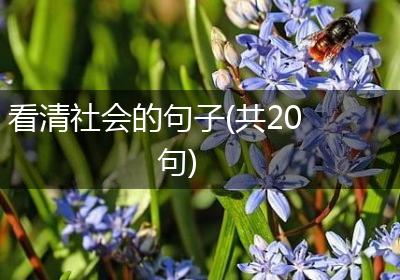 看清社会的句子(共20句)