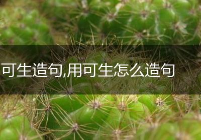 可生造句,用可生怎么造句