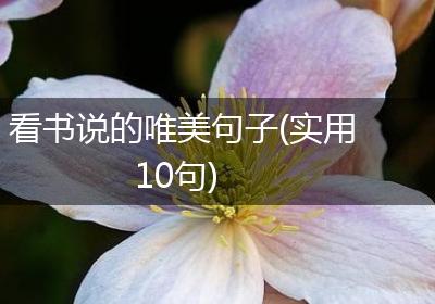 看书说的唯美句子(实用10句)