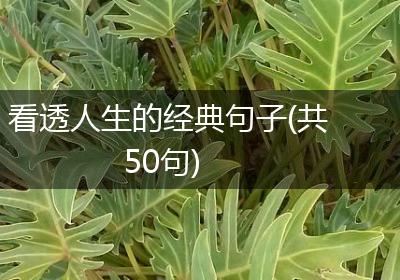 看透人生的经典句子(共50句)