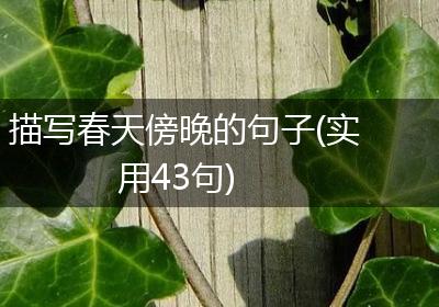 描写春天傍晚的句子(实用43句)