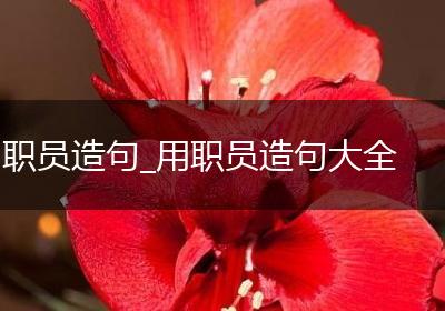 职员造句_用职员造句大全