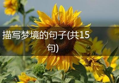 描写梦境的句子(共15句)