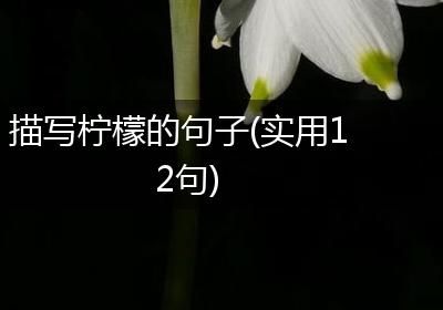 描写柠檬的句子(实用12句)