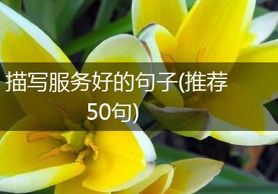 描写服务好的句子(推荐50句)