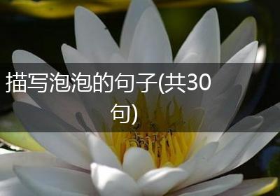 描写泡泡的句子(共30句)