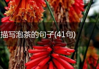 描写泡茶的句子(41句)
