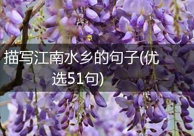 描写江南水乡的句子(优选51句)