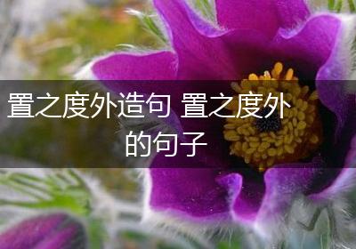 置之度外造句 置之度外的句子