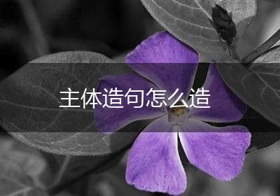 主体造句怎么造