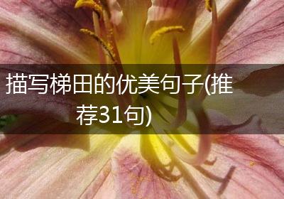 描写梯田的优美句子(推荐31句)