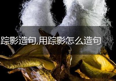 踪影造句,用踪影怎么造句