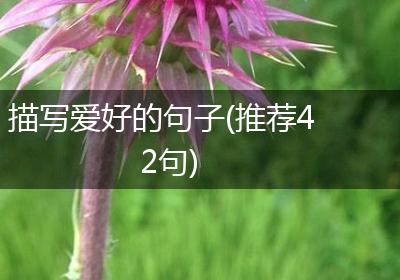 描写爱好的句子(推荐42句)