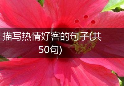 描写热情好客的句子(共50句)