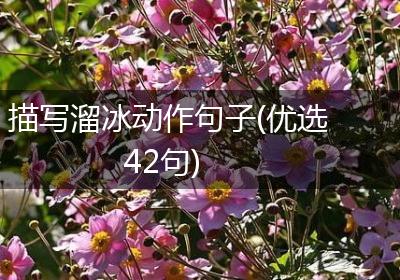 描写溜冰动作句子(优选42句)