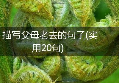 描写父母老去的句子(实用20句)
