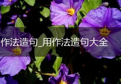 作法造句_用作法造句大全