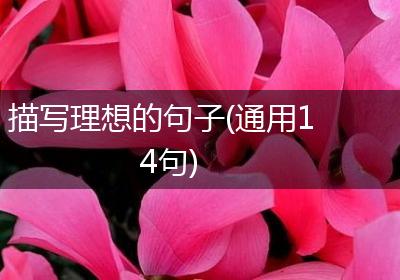 描写理想的句子(通用14句)