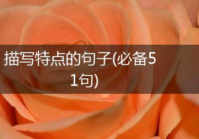 描写特点的句子(必备51句)