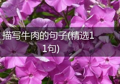 描写牛肉的句子(精选11句)