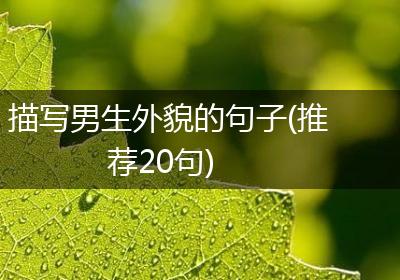 描写男生外貌的句子(推荐20句)