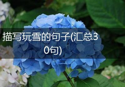 描写玩雪的句子(汇总30句)