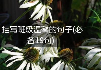 描写班级温馨的句子(必备19句)