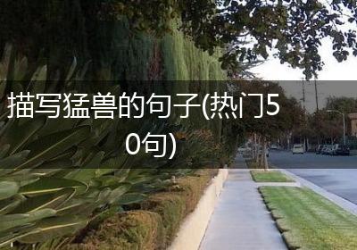 描写猛兽的句子(热门50句)